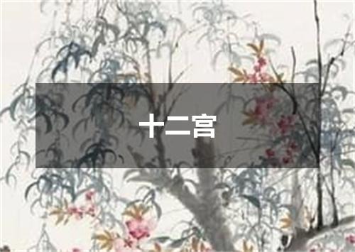 十二宫