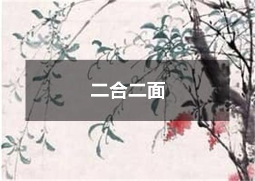 二合二面