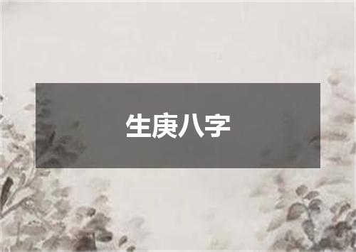 生庚八字