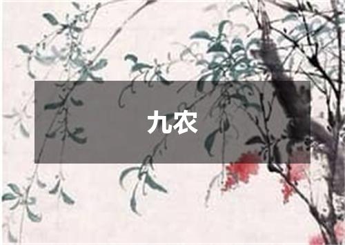 九农