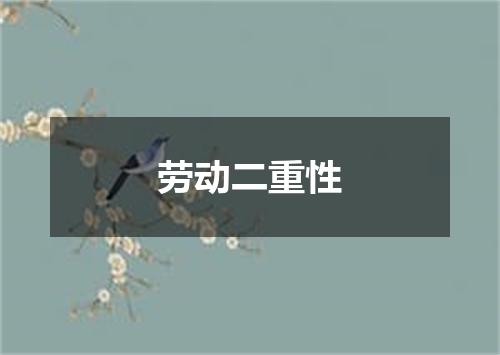 劳动二重性