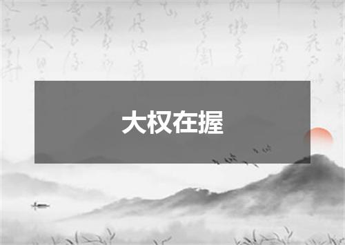 大权在握