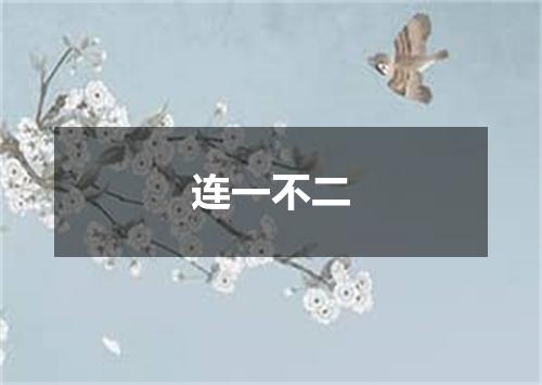 连一不二
