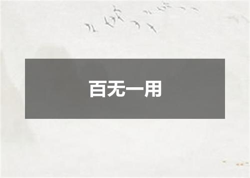 百无一用