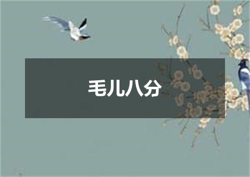 毛儿八分