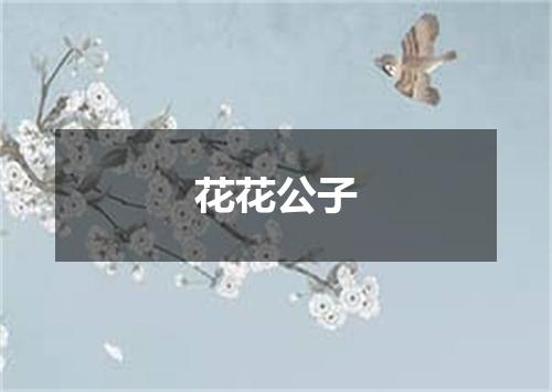 花花公子