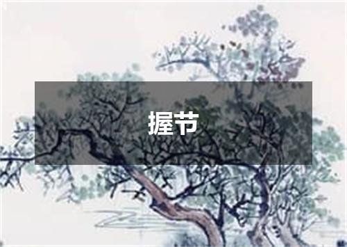 握节