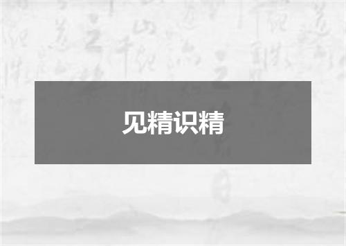 见精识精