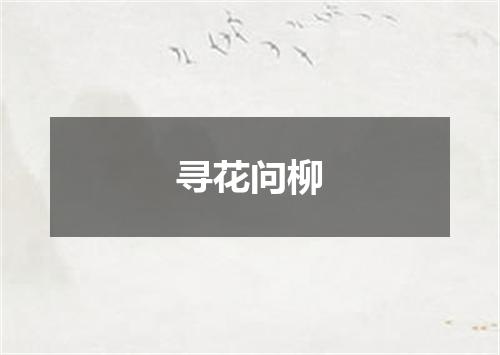 寻花问柳