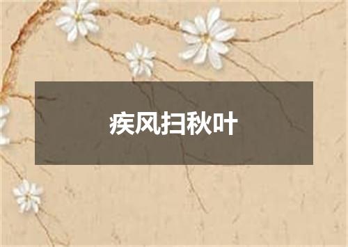 疾风扫秋叶