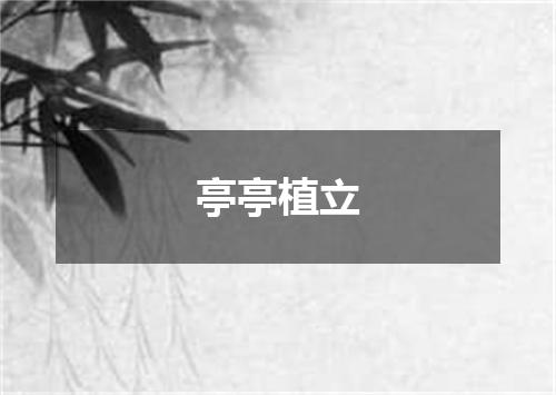 亭亭植立