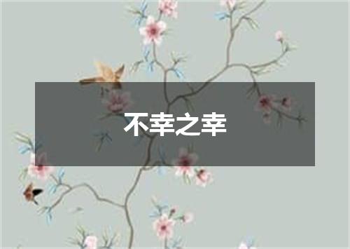 不幸之幸