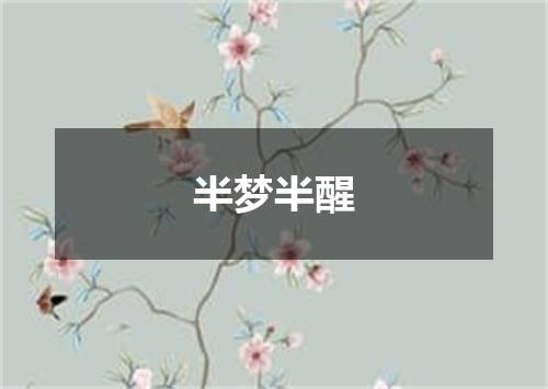 半梦半醒