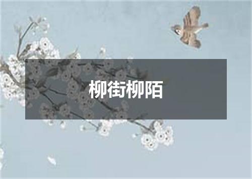柳街柳陌