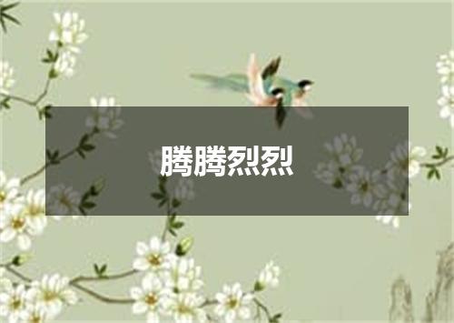 腾腾烈烈