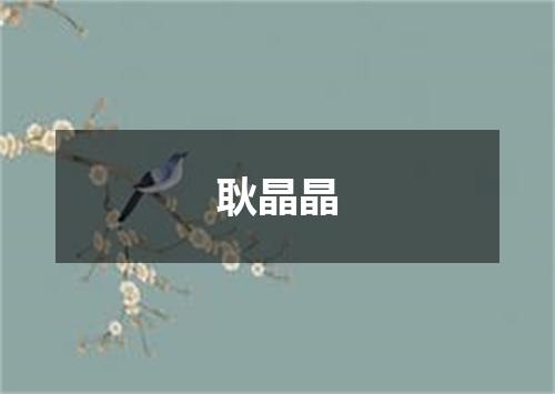 耿晶晶
