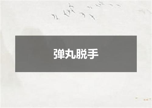 弹丸脱手
