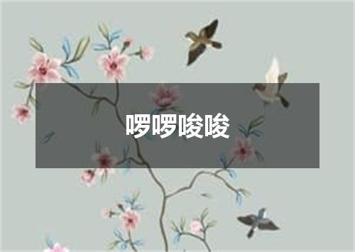 啰啰唆唆
