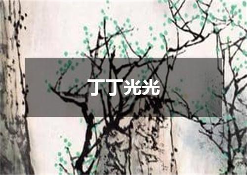 丁丁光光