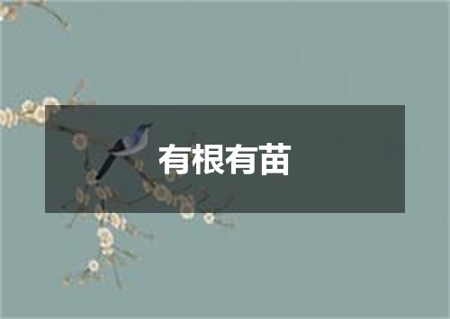 有根有苗