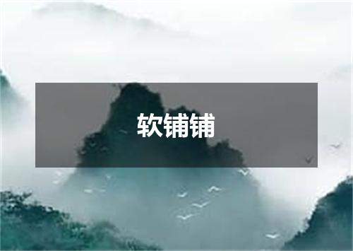 软铺铺