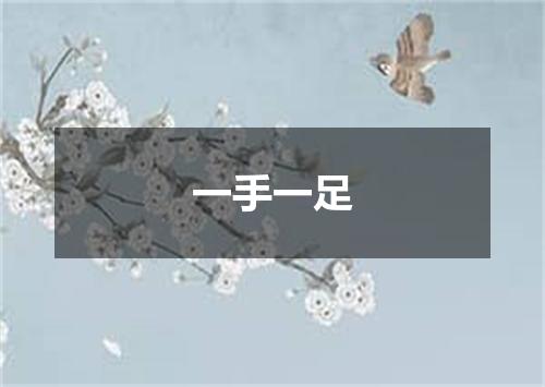 一手一足