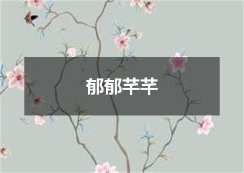 郁郁芊芊