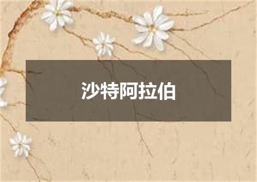沙特阿拉伯