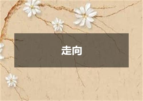 走向