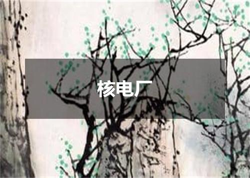 核电厂