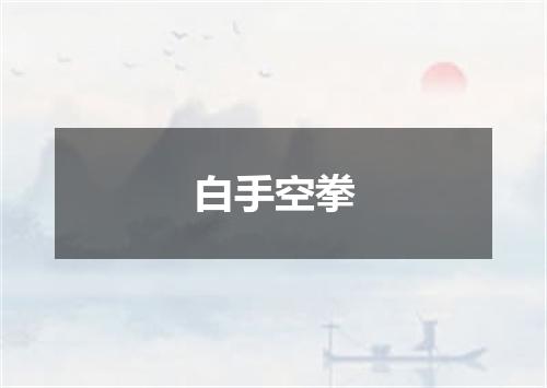 白手空拳