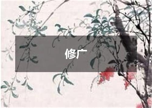 修广