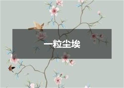 一粒尘埃