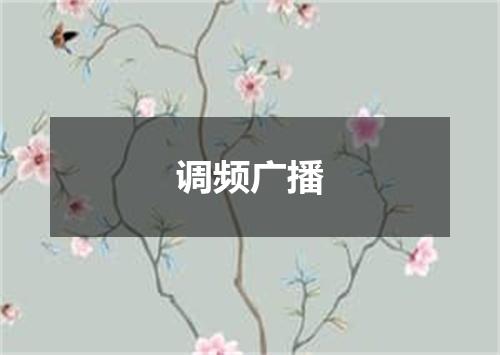 调频广播