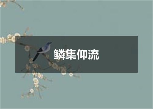 鳞集仰流