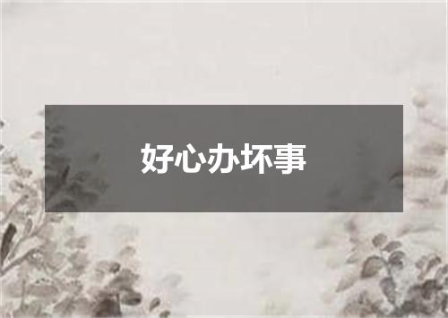 好心办坏事