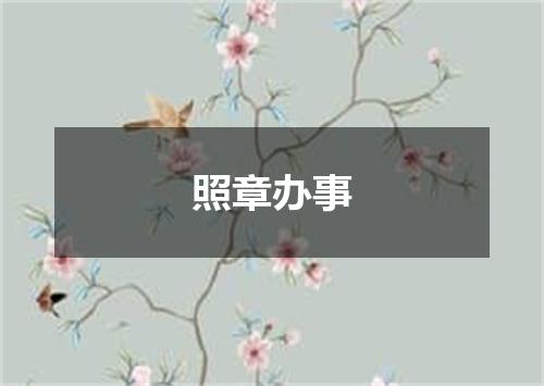照章办事