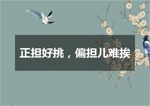 正担好挑，偏担儿难挨