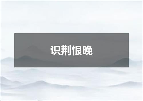 识荆恨晚