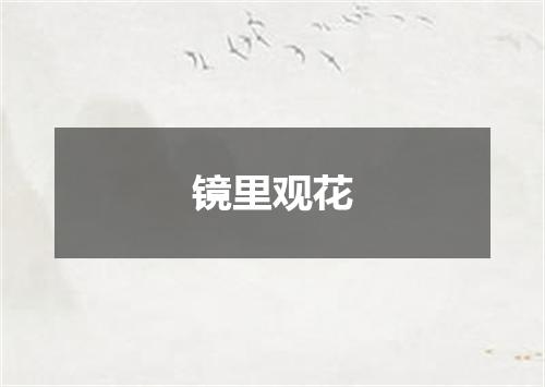 镜里观花