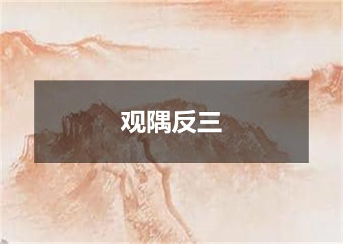 观隅反三