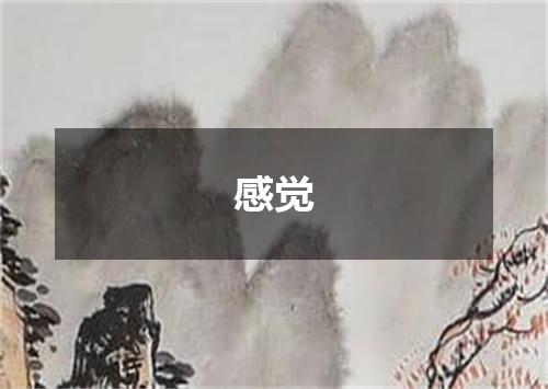 感觉