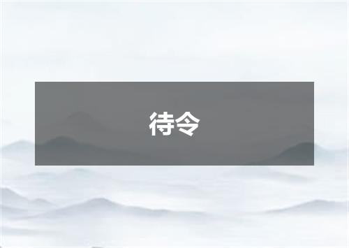 待令