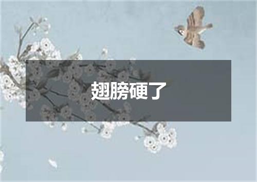 翅膀硬了