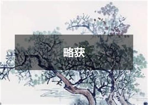 略获