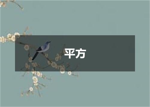 平方