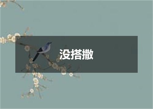 没搭撒