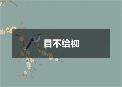 目不给视