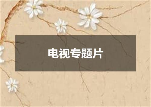 电视专题片