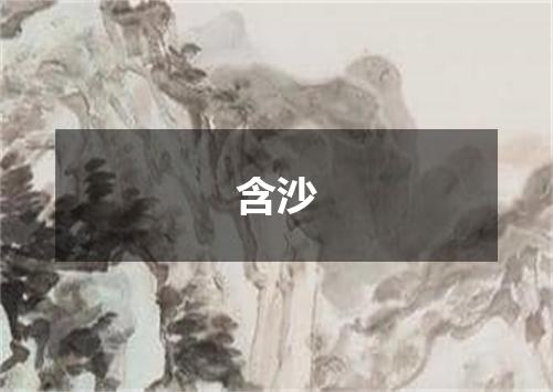 含沙